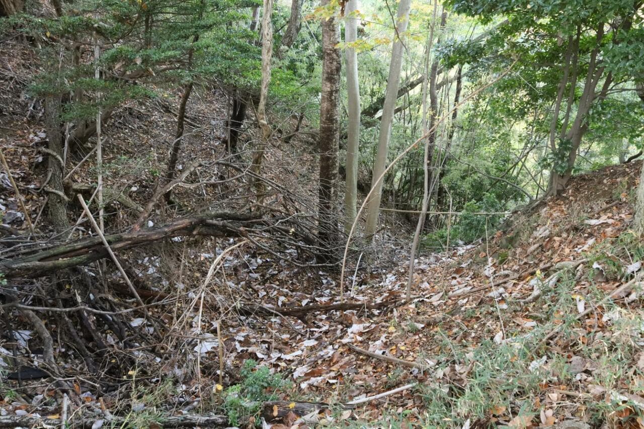 曲輪間の堀切からは見事な竪堀も落ちている