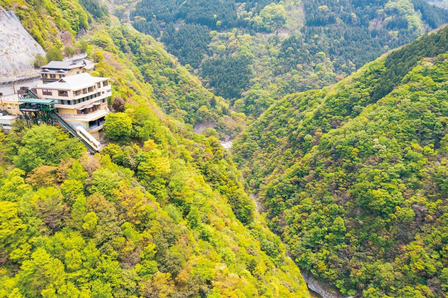 緑が眩しい夏の祖谷。雨が降ると霧が立ち上り水墨画のような美しい風景に。