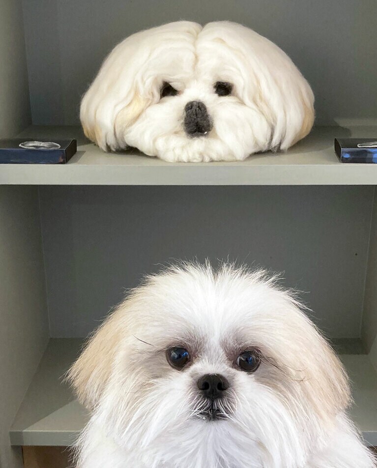 そっくり！　かわいい！