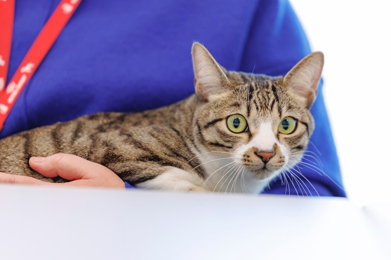 ドロンパくん。