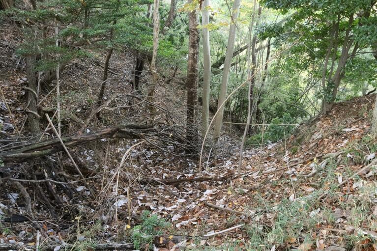 曲輪間の堀切からは見事な竪堀も落ちている