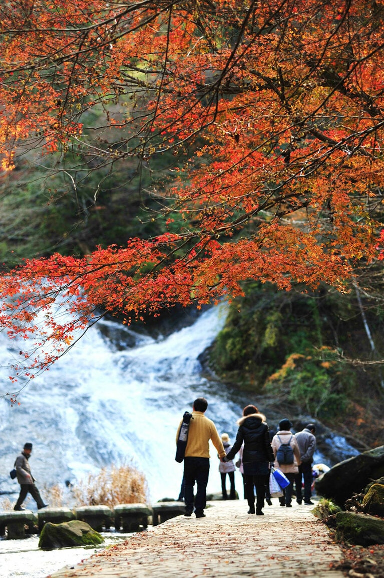 【千葉県】粟又の滝。