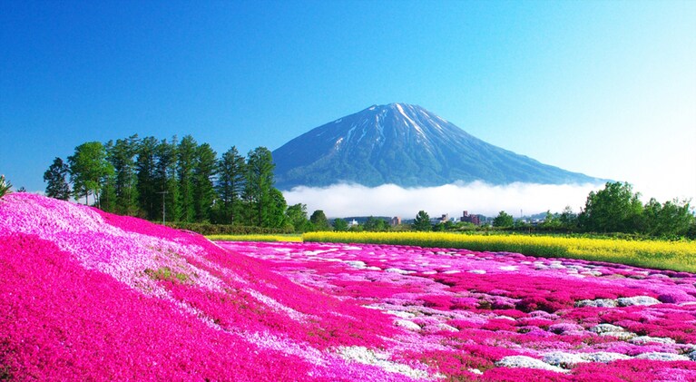 ニセコのイメージ。四季折々に表情を変え、北海道の大自然が心を潤す。