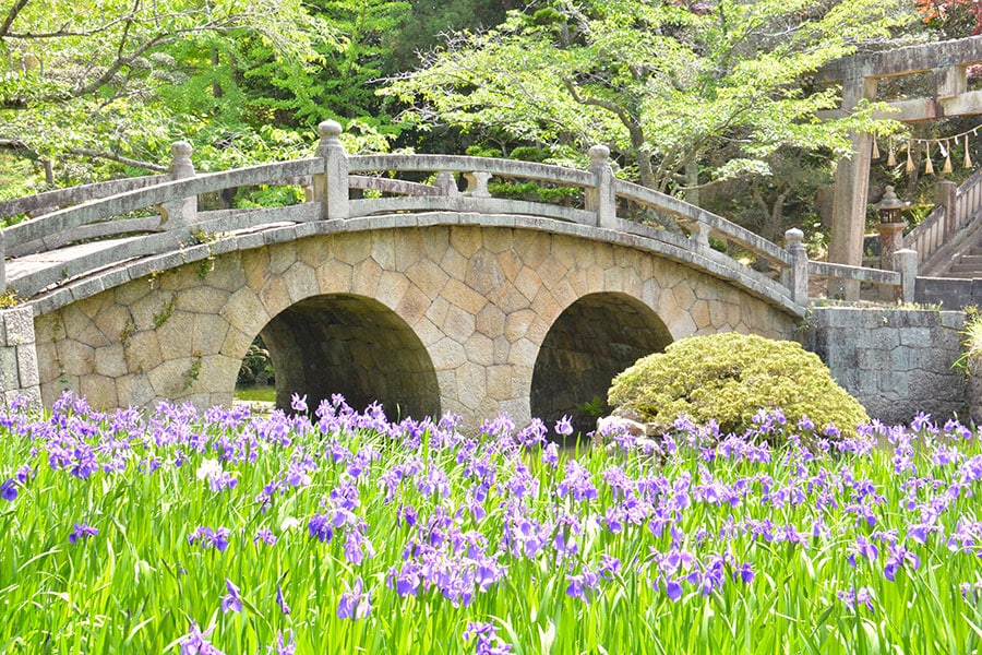 47都道府県の「春の絶景・風物詩」を再発見！