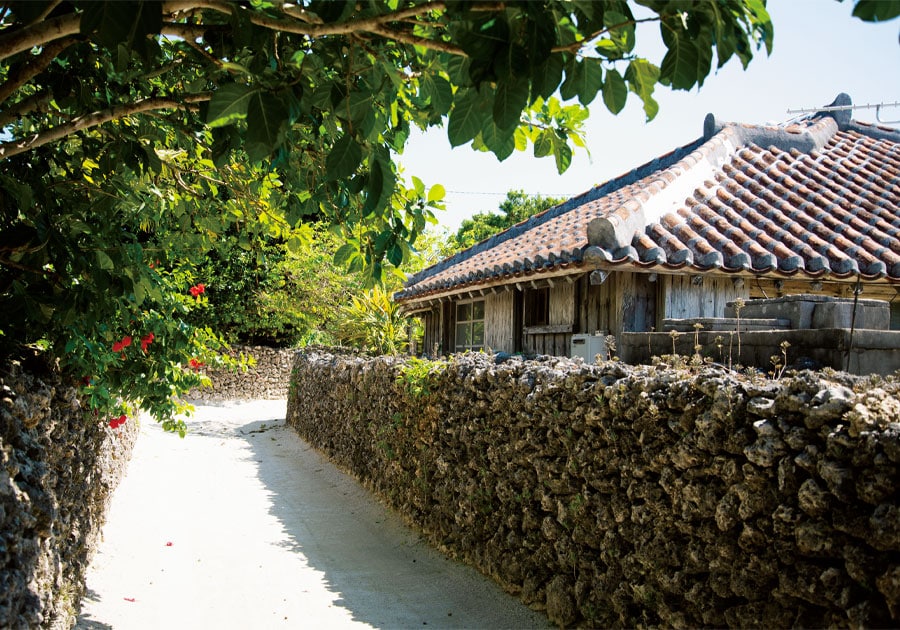赤瓦の民家や、鮮やかに咲くブーゲンビリアが竹富島らしさを感じさせてくれる。