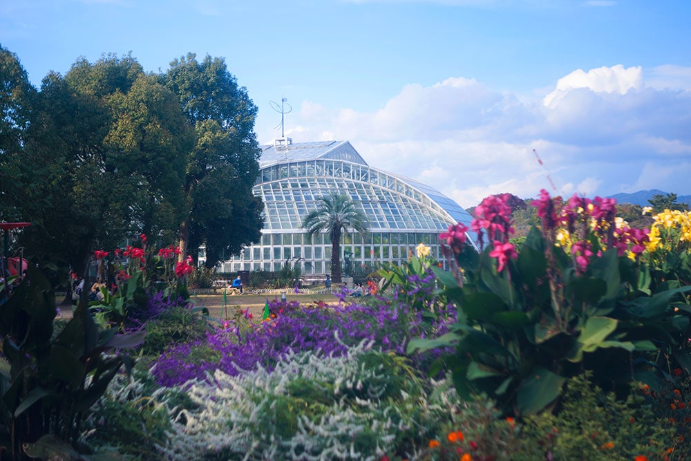 約12,000種類もの植物がある「京都府立植物園」。
