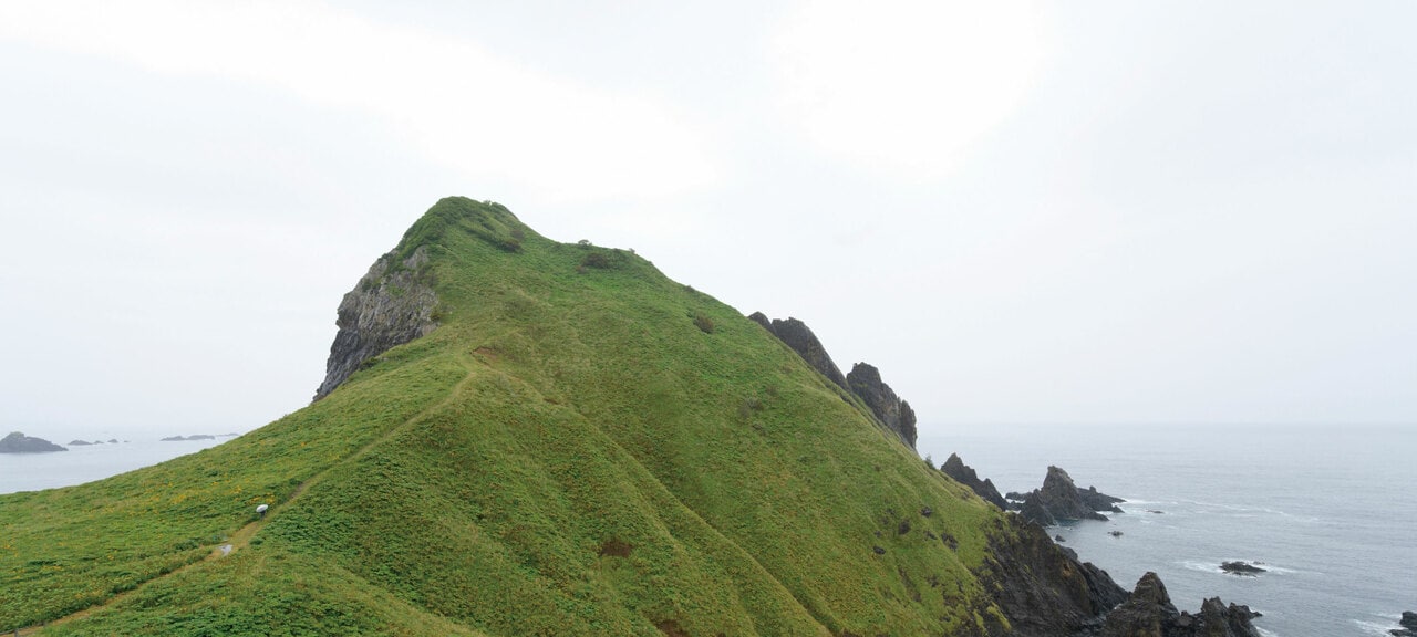 小高い緑の丘のように見えるのが大野亀。