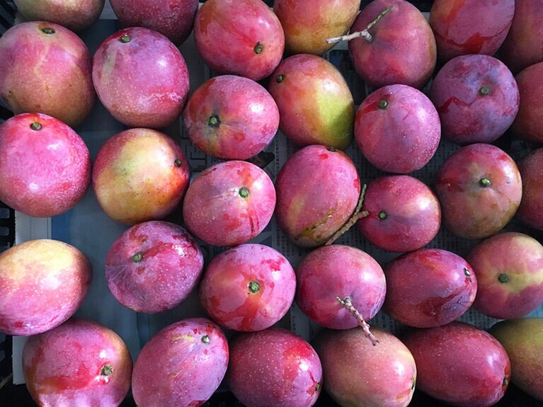 このように綺麗に箱詰めされます。