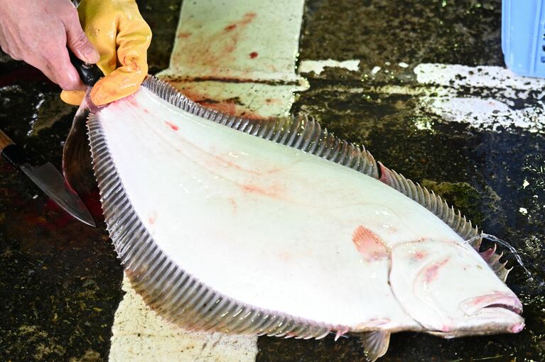 尻尾から水を入れて血抜きしていきます。