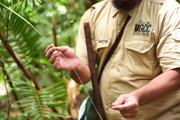 細かい棘のあるツル植物は、通称「ちょっと待っての木」。服などに引っかかるので注意。