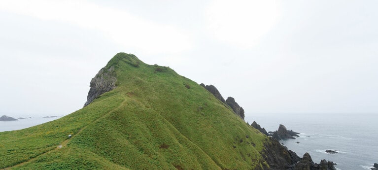 小高い緑の丘のように見えるのが大野亀。