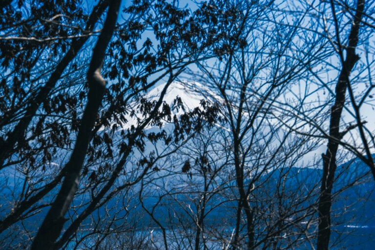 ハイキングの途中に眺める富士山も趣が。