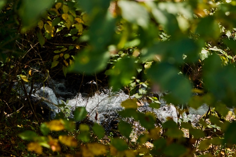 お店の横には清らかな川も流れる。