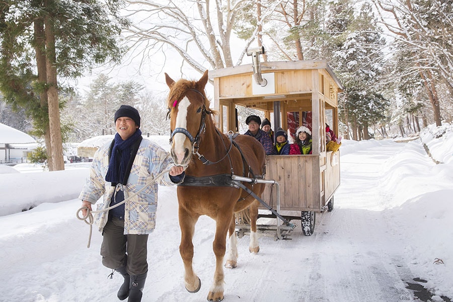 広大な公園内を薪ストーブ積んだ馬車で巡る“ストーブ馬車”も冬の人気体験。