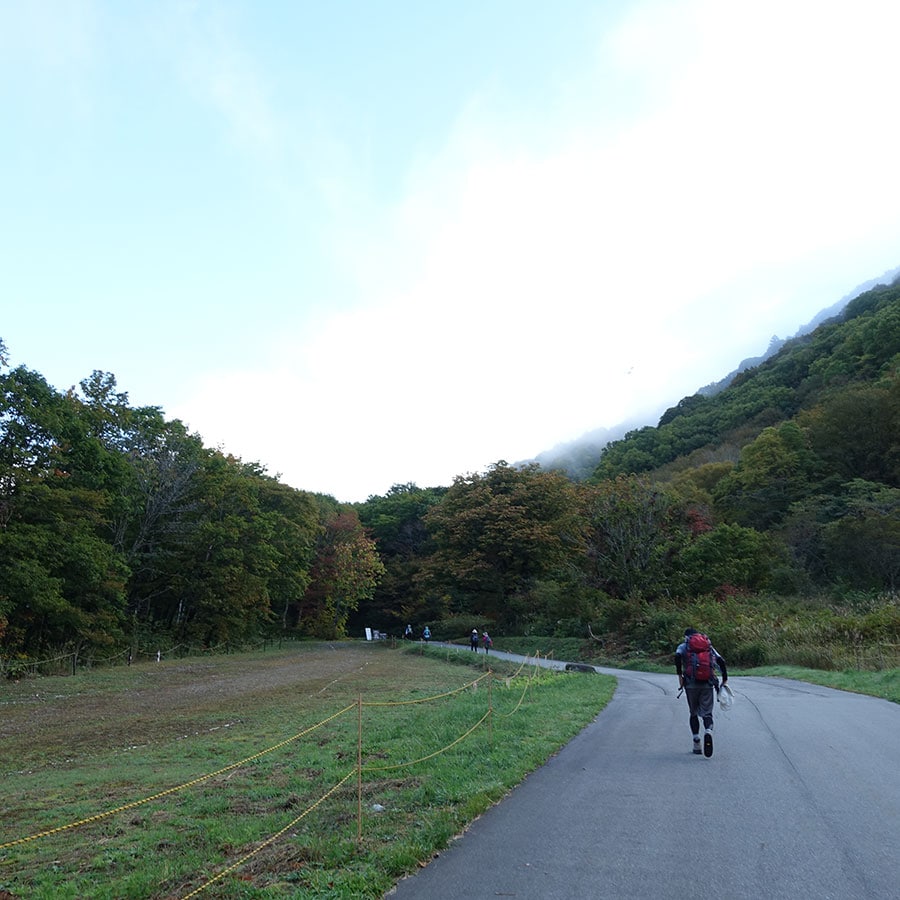 山頂まで約2時間程度のプチトレッキング。