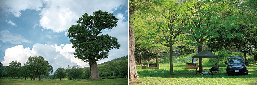 写真左から、高原、林間。