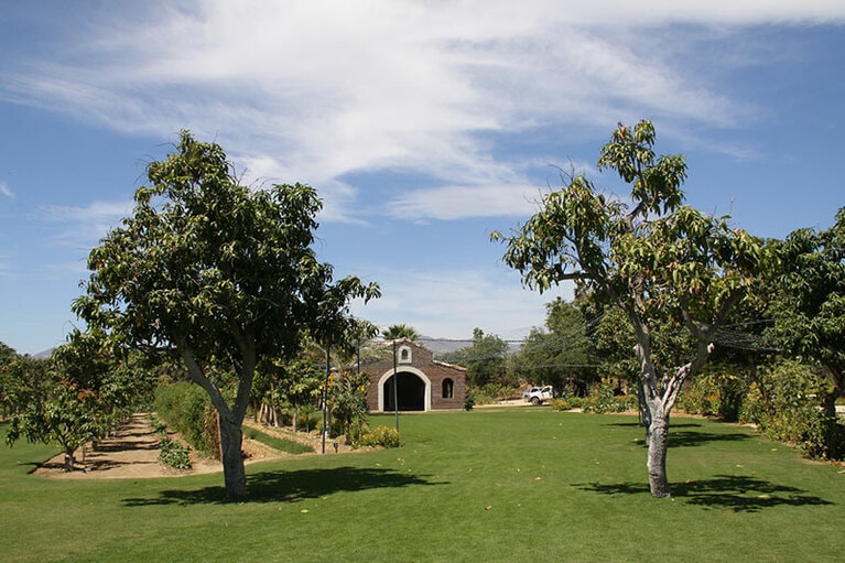 フローラ ファームのマンゴーグローブ。結婚式をおこなうこともできる。