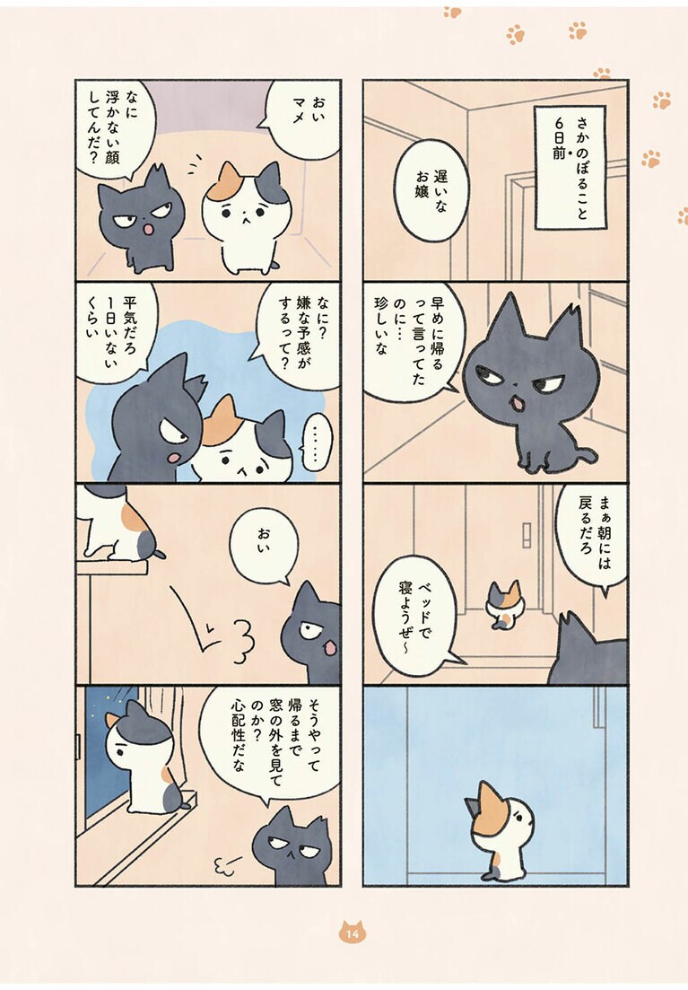 『もしもなんて来ないと思ってた猫』オキエイコ（実業之日本社）。