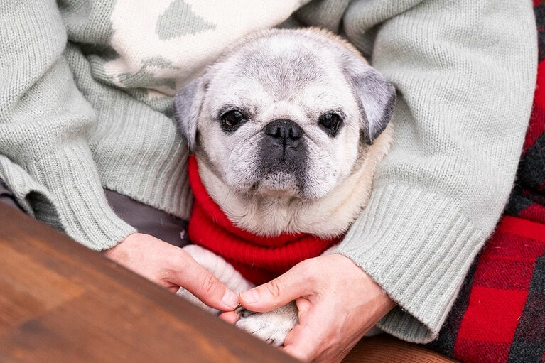 アザーカット。