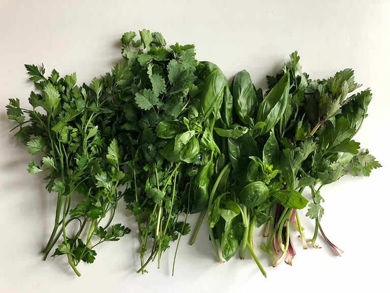 農家から今週届いた野菜。左からイタリアン・パセリ、サラダバーネット、バジル、セロリの葉。