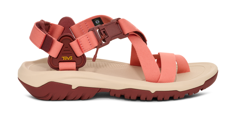 「Hurricane Terra Dactyl」