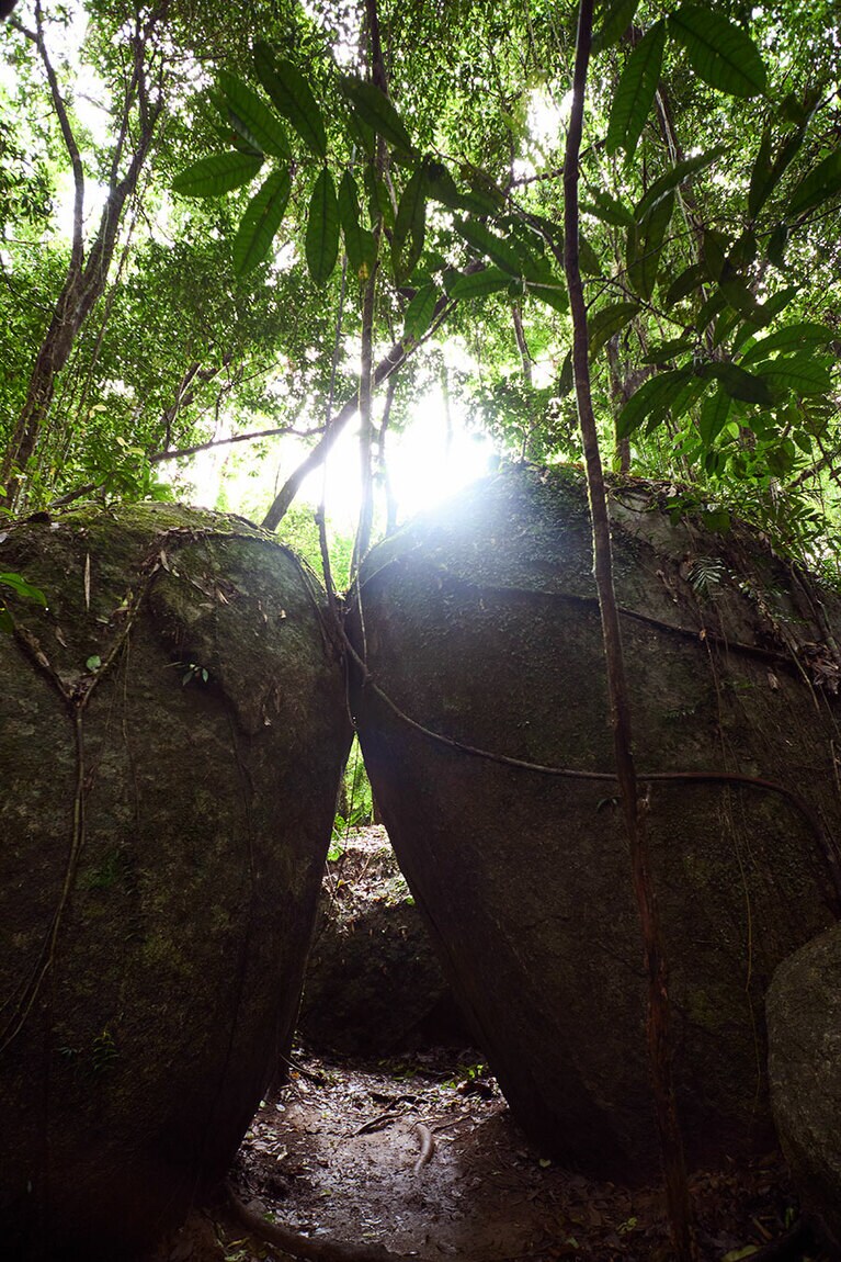 寄り添うようにある2つの巨岩。奥に人1人分ほどの空間があり、さまざまな儀式が行われてきたという森の中の小さな聖地。