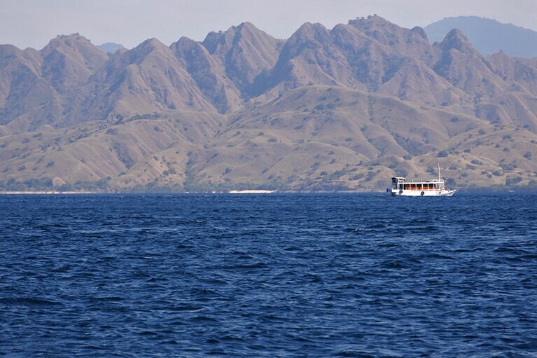 プレートテクトニクスが隆起して、島が立ち上がったコモド国立公園の島々。クルーズ中に目にする島なみも見どころです。