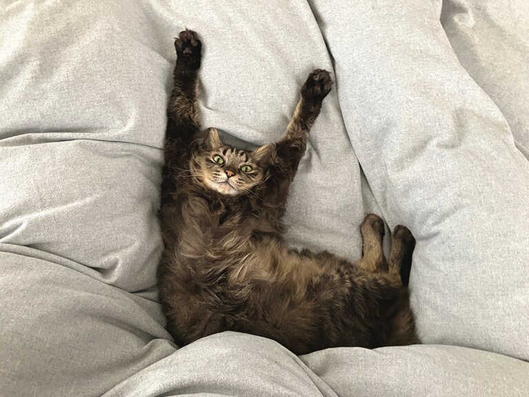 確かにこれはシャッターチャンス！