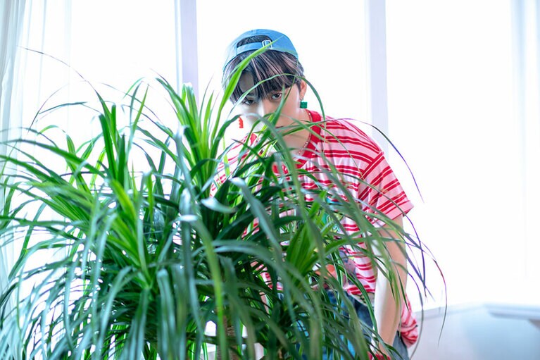 カメラマンがレンズを替えたり準備をしている間、木全さんがじっと植物の隙間からその様子を見つめていました……！