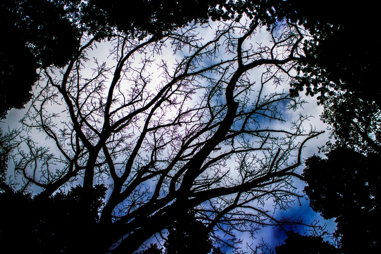 写真はイメージです。写真：tonkoAFLO/イメージマート
