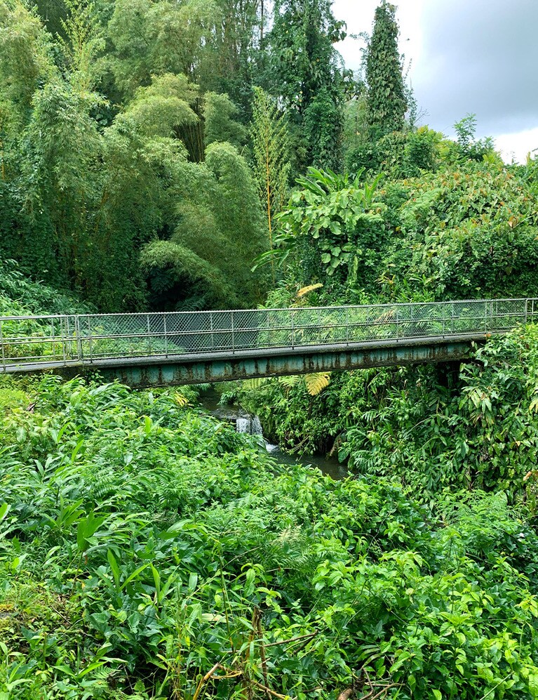 入口から入るとすぐにある橋。