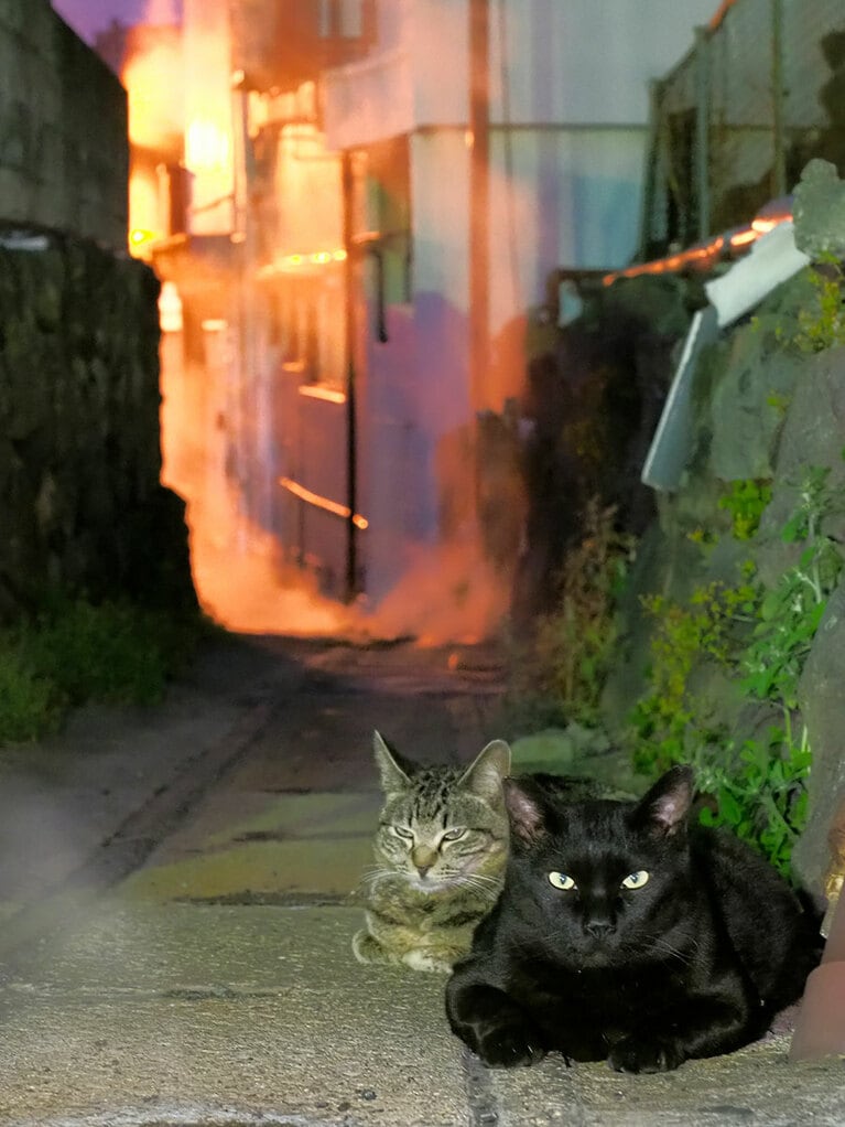 「今宵も……『岩盤浴』でぬくぬくなのニャ～♪」「ぬくぬくぽかぽかで……極楽なのニャ～♪」