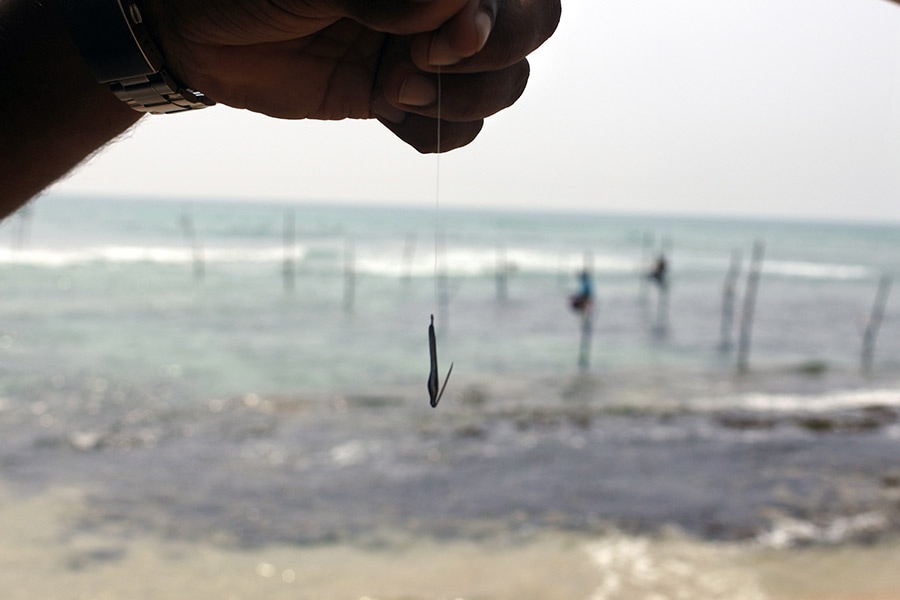 こちらが釣り針。このところ竹馬漁も観光化が進み、500ルピーで写真撮影や竿に乗れることも。