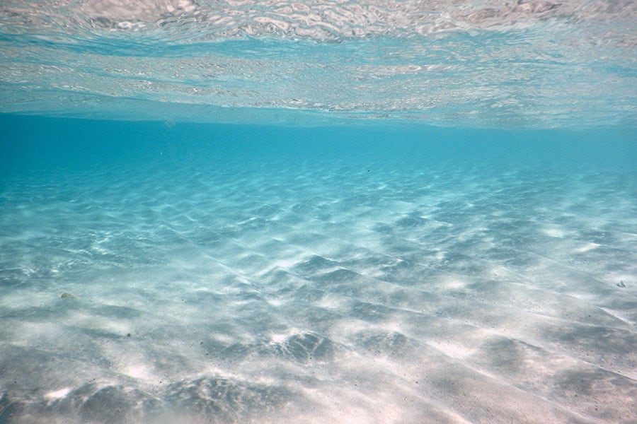 魚ウォッチングはもとより、浮遊感も楽しみたい海。