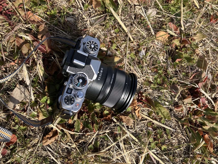 写真はイメージです。写真：gotoshoji/イメージマート