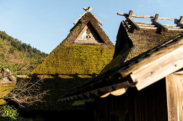 屋根の上部には家紋が。