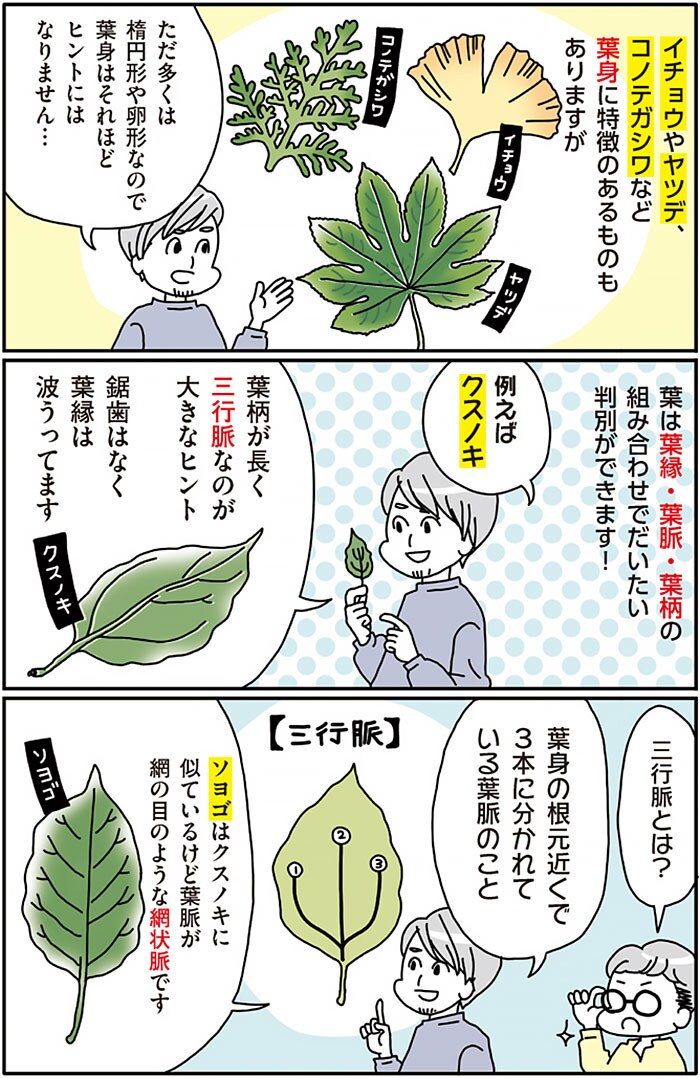 『まちなか植物観察のススメ』より。