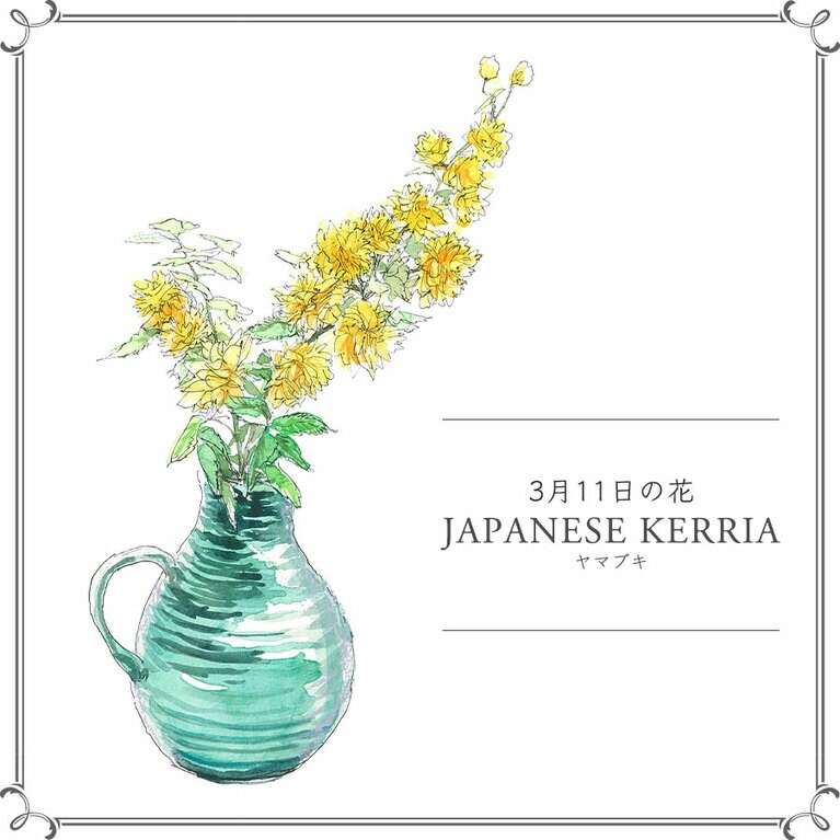 3月11日の花「ヤマブキ」