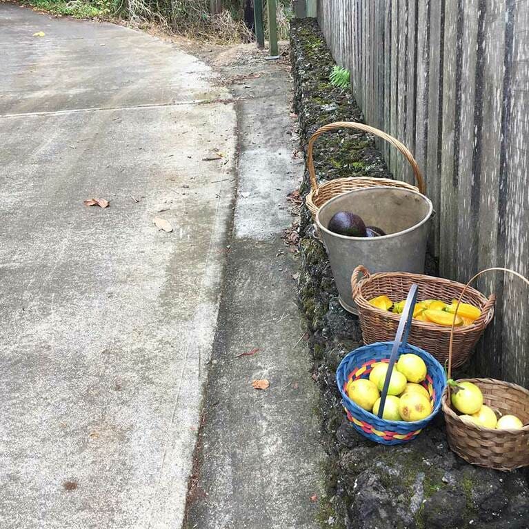 「テデスキーワイナリー」の試飲＆見学ツアーに参加したときに発見した、バケツやカゴに入ったスターフルーツやリリコイ。敷地内で収穫したそうで、ご自由にどうぞ！ なんだって。