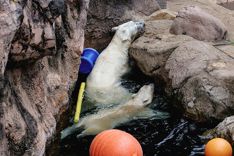 イッちゃんとライ。