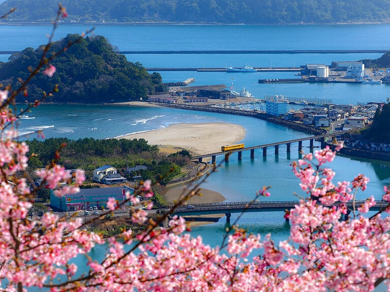 南郷城跡の桜。