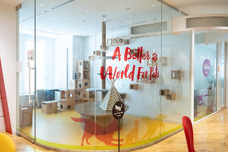 受付後すぐに目に飛び込んでくるキャットルーム。