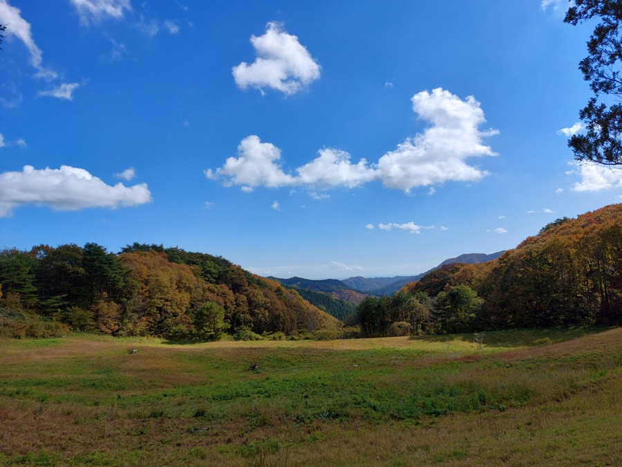 セグウェイで走った、丘の頂上からの眺め。