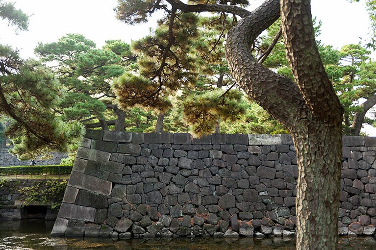 水辺には豊かな自然が息づいて。