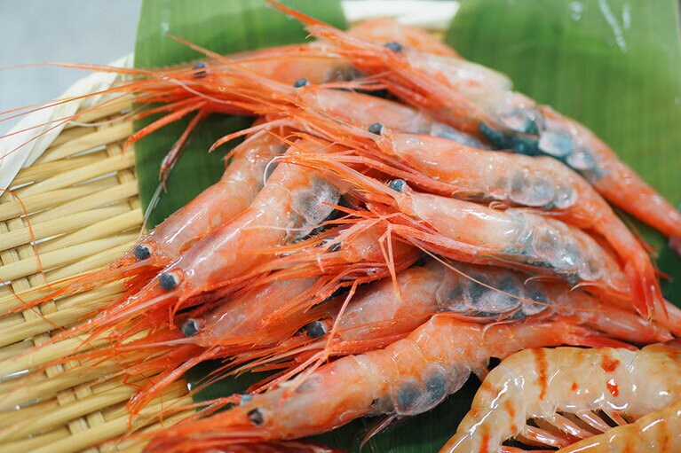 厳選！おすすめ海老1種以上 6,040円(1～3種類、送料込み)／丸定　※種類は入荷状況により異なります。種類や量の指定はできません。