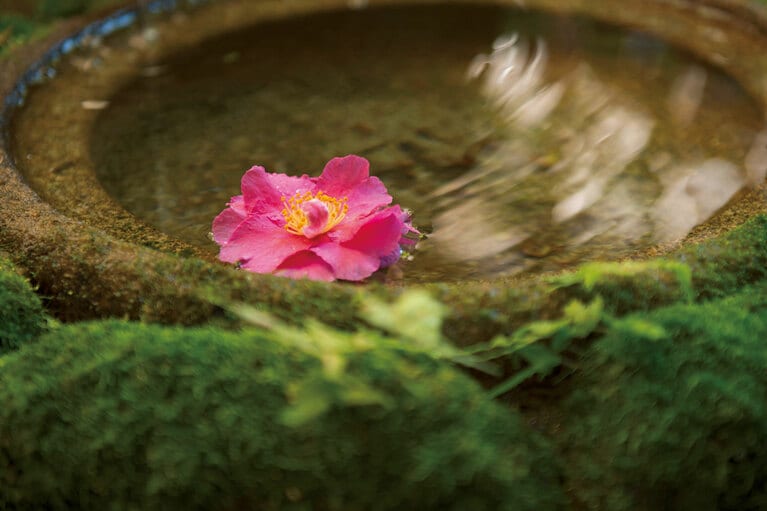 庭園を包む静寂に心が休まる。