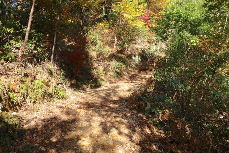 尾根を分断する堀切