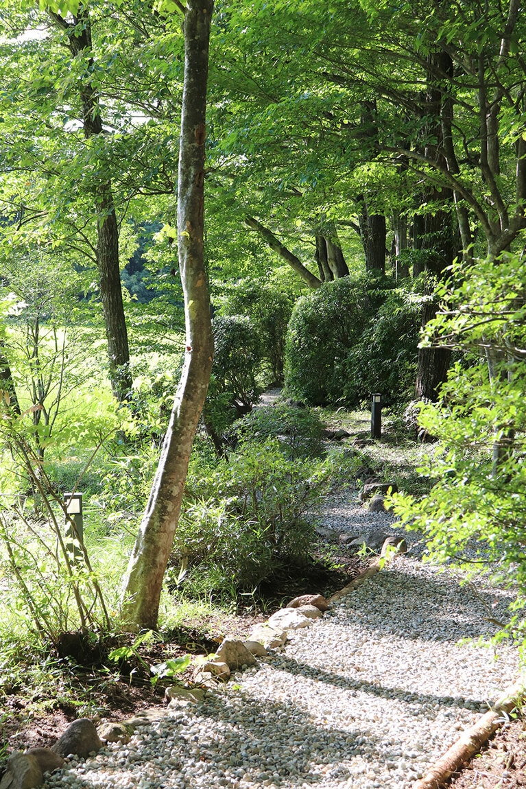田んぼまでの小道には、きのこやどんぐりの姿が。