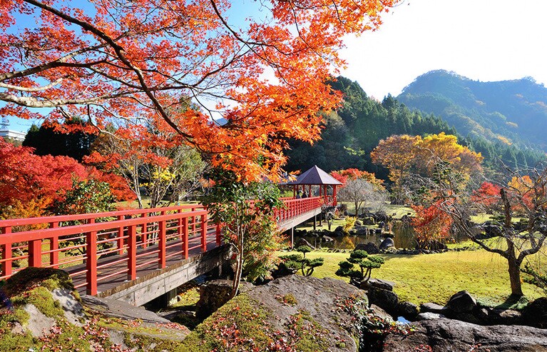 【大分県】耶馬渓ダム記念公園 溪石園。