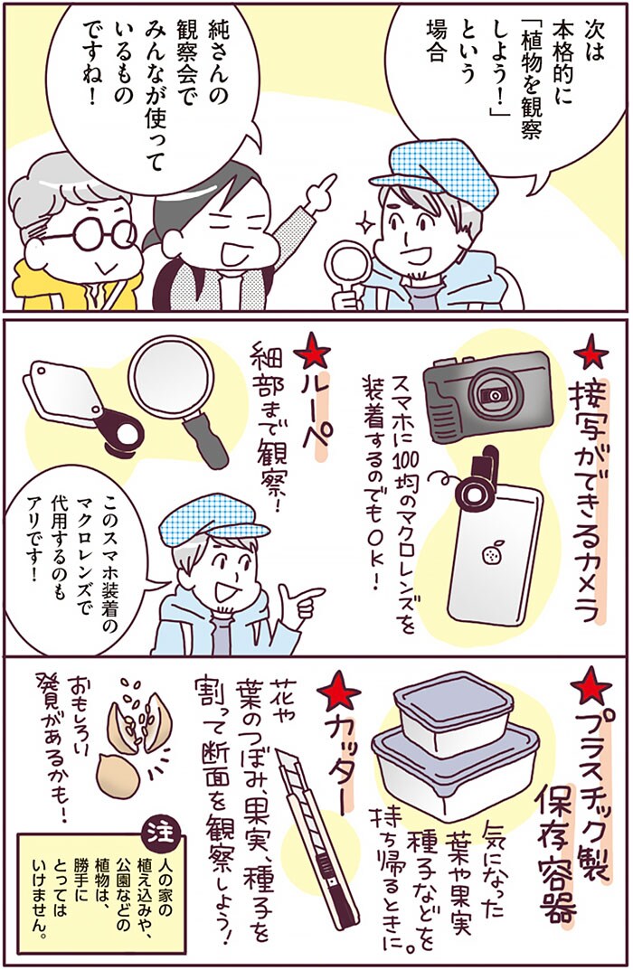 『まちなか植物観察のススメ』より。